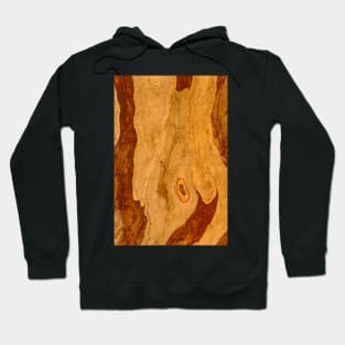 Bark Map 01 Hoodie